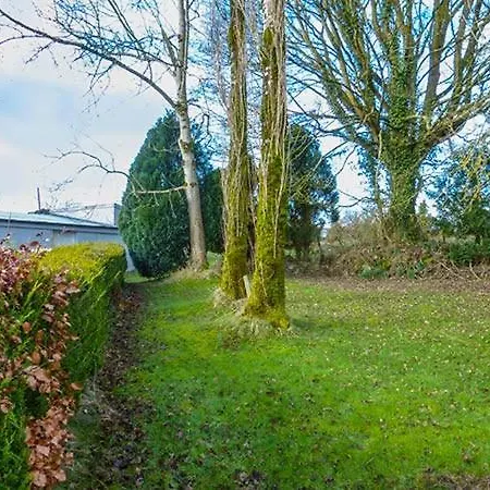 Egans', Whitegate *